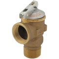 Product Image of Relief Valve 30 PSI, 100208449