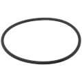 Product Image of Gasket, Venturi O-ring, 100208761