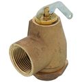Product Image of 3/4" FNPT x 1" FNPT RVW10 710,000 BTU Hot Water Relief Valve, 30 PSIG (Brass Finish)