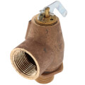 Product Image of 3/4" MNPT x 1" FNPT RVW10 710,000 BTU Hot Water Relief Valve, 30 PSIG (Brass Finish)