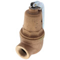 Product Image of 3/4" FNPT RVW60 1,399,000 BTU Bronze Hot Water Relief Valve, 60 PSIG
