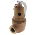 Product Image of 1" FNPT RVW60 1,956,000 BTU Bronze Hot Water Relief Valve, 50 PSIG
