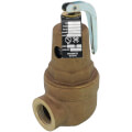 Product Image of 1" FNPT RVW60 3,500,000 BTU Bronze Hot Water Relief Valve, 100 PSI