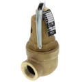 Product Image of 1" FNPT RVW60 4,272,000 BTU Bronze Hot Water Relief Valve (125 psi)