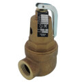 Product Image of 1" FNPT RVW60 5,044,000 BTU Bronze Hot Water Relief Valve (150 psi)