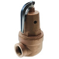 Product Image of 1-1/4" RVW60 7,390,000 BTU Capacity, Bronze Relief Valve, 125 psi