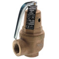 Product Image of 1-1/2" RVW60 6,421,000 BTU Capacity Bronze Relief Valve, 75 psi
