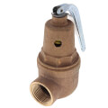 Product Image of 3/4" FNPT x 1" FNPT RVW61 2,536,000 BTU Bronze Hot Water Relief Valve (100 psi)