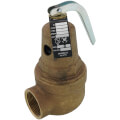 Product Image of 1" FNPT x 1-1/4" FNPT RVW61 2,657,000 BTU Bronze Hot Water Relief Valve (60 psi)
