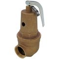 Product Image of 1-1/2" FNPT x 2" FNPT RVW61 3,696,000 BTU Bronze Hot Water Relief Valve (30 psi)