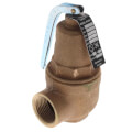 Product Image of 1-1/2" FNPT x 2" FNPT RVW61 4,974,000 BTU Bronze Hot Water Relief Valve (45 psi)