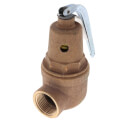 Product Image of 1-1/2" FNPT x 2" FNPT RVW61 5,400,000 BTU Bronze Hot Water Relief Valve (50 psi)