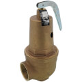 Product Image of 1-1/2" FNPT x 2" FNPT RVW61 7,531,000 BTU Bronze Hot Water Relief Valve (75 psi)
