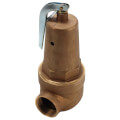 Product Image of 2" FNPT x 2-1/2" FNPT RVW61 6,091,000 BTU Bronze Hot Water Relief Valve (30 psi)