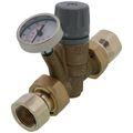 Product Image of 3/4" FNPT ThermoSetter Adjustable Thermal Balancing Valve w/ Inlet Check Valve