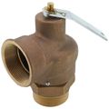 Product Image of 2" MNPT x 2" FNPT RVS12 2,500 LBS/HR Capacity Low Pressure Relief Valve (15 psi)
