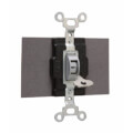 Product Image of Double Pole Locking Double Throw Switch, 15A - Gray (120/277V)