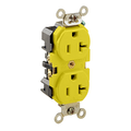 Product Image of 20A Duplex Receptacle/outlet, Corrosion Resistant, Self-grounding