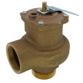 Product Image of 2" MNPT x 2" FNPT RVS14 3150 BTU High Capacity Low Pressure Steam Safety Valve (15 psi)