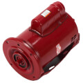 Product Image of Ball Bearing Motor, 1/2 HP (PD-35S, Series 60)