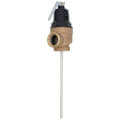 Product Image of 1" FVX-8L Commercial T&P Relief Valve (Female Inlet)