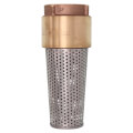 Product Image of 2" Bronze Foot Valve (Lead Free)