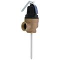 Product Image of 1" FNPT Commercial ASME T&P Relief Valve (5" Element, 150 psi)