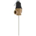 Product Image of 1" Commercial ASME T&P Relief Valve (8" Element, 125 psi)