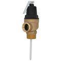 Product Image of 1-1/4" MNPT x 1" FNPT Commercial ASME T&P Relief Valve (4" Element, 150 psi)
