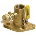 Product Image of PIPF-T 1" Threaded Isolation Pump Flange, Purge Port and Swivel Flange