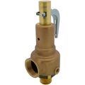 Product Image of 19 Series 1-1/2" MNPT x 2" FNPT 6,616 LBS/HR Safety Relief Valve (150 psi)