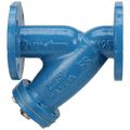 Product Image of 2-1/2" FS/FSC Cast Iron "Y" Type Strainer