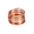 Product Image of Capillary Tube .087od x .036id x 10, 851100