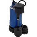 Product Image of FSPP33TCDV10 Top Suction Cast Iron Sump Pump, (1/3 HP)