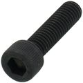 Product Image of Screw / all EF & EF-2 models, 239-43273-00