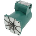 Product Image of 1/2 HP Motor for 2400 Series Pumps (115V)