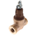 Product Image of A-89 1/2" NPT Boiler Feed Valve