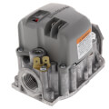 Product Image of Gas Valve (LP), 263999