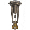 Product Image of 1" F x F 2-Way Normally Open Valve w/ 8" Pneumatic Actuator, 3-10 psi, 10 Cv