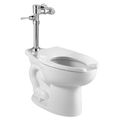 Product Image of Madera 15" EverClean Toilet System w/ Manual Piston Flush Valve, 1.6 gpf/6.0 Lpf (White)