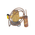 Product Image of Thermal Expansion Valve, 29M10