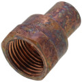 Product Image of 1/2" FTG x Female Street Adapter