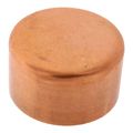 Product Image of 2-1/2" Copper Cap