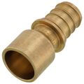 Product Image of 1/2" EVERLOC+ x 1/2" Female Sweat Copper Pipe Brass Adapter (Lead Free)