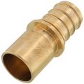 Product Image of 1" EVERLOC+ x 1" Male Sweat Copper Pipe Brass Adapter (Lead Free)