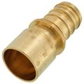 Product Image of 1" EVERLOC+ x 1" Female Sweat Copper Pipe Brass Adapter (Lead Free)