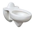 Product Image of Rapidway 1.6 gpf/6.0 Lpf Back Spud Elongated Wall-Hung Bowl Only (White)
