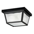 Product Image of 9.25" 2 Light Outdoor Flush Mount w/ Clear Textured Glass (Black)