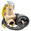 Product Image of ASME Pressure Relief Valve, 80 PSI, 3/4" NPT Female, 383-600-065