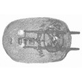 Product Image of Ultra-Violet Tube
